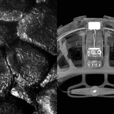 Czapka sportowa Pomarańczowy, Biały