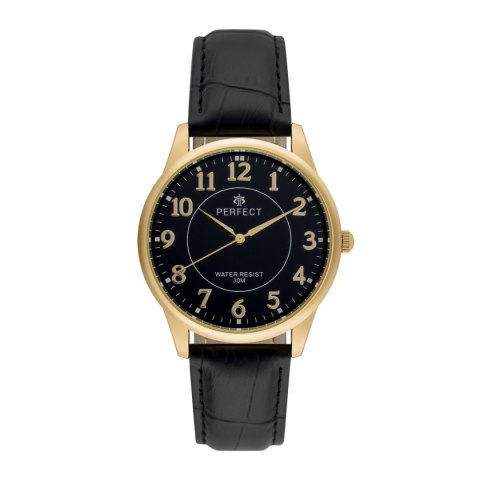 PERFECT C426F-10 (zp289g)