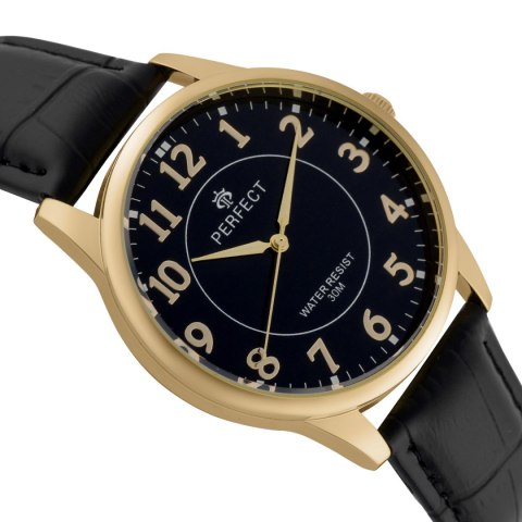 PERFECT C426F-10 (zp289g)