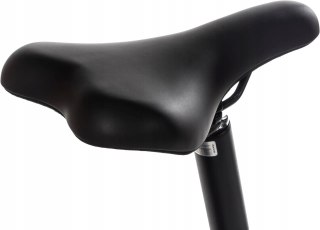 Rower elektryczny składany Snapp City-E Grafit