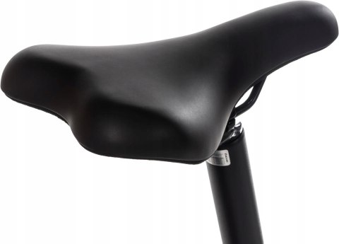 Rower elektryczny składany Snapp City-E Grafit