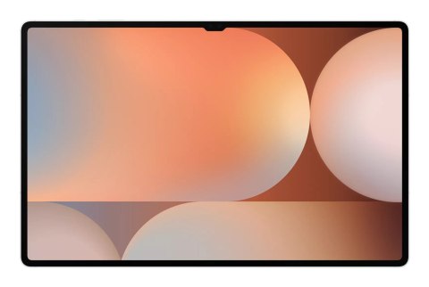 Samsung Galaxy Tab S10 Ultra (X920) 12/256GB Silver