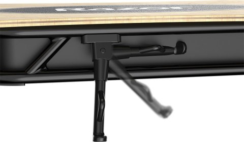 RAZOR hulajnoga elektryczna EcoSmart SUP 13173819 (WYPRZEDAŻ)