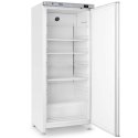 Szafa chłodnicza 1-drzwiowa stalowa o pojemności 600 l 0-8C 193 W Budget Line - Hendi 236048 ARKTIC