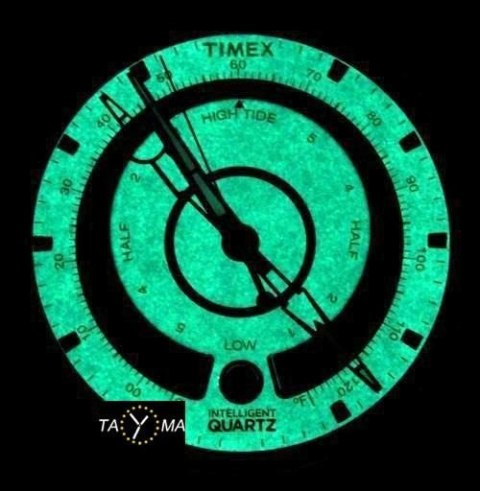 ZEGAREK MĘSKI TIMEX T2N721 - KOMPAS I TERMOMETR (zt084a)