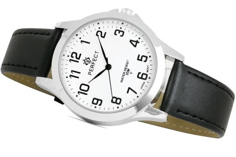 Zegarek Męski PERFECT W183-2