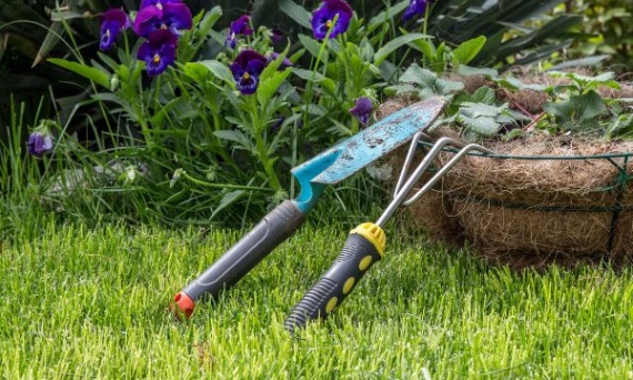 Przewodnik po Ogródku: Pielęgnacja, Narzędzia, Meble i Ozdoby